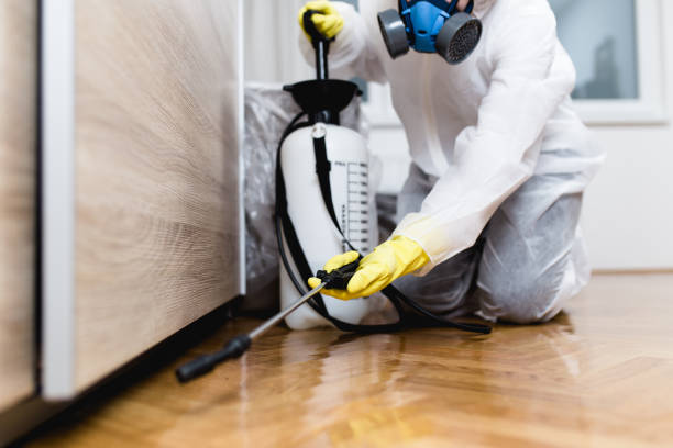 Best Commercial Pest Control Services  in Opelousas, LA