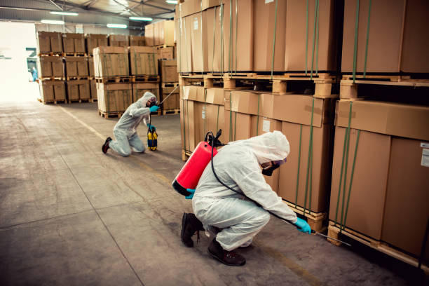 Best Pest Removal Services  in Opelousas, LA
