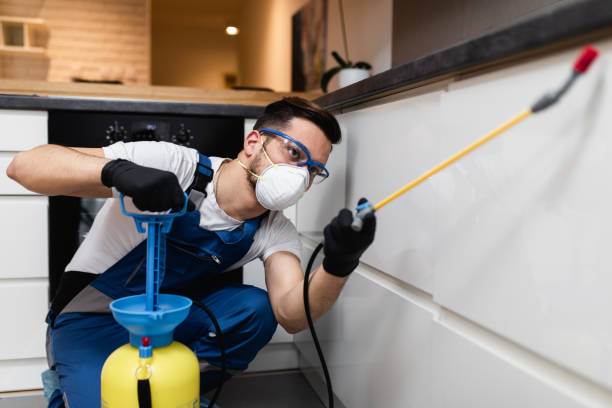Best Wasp Removal Services  in Opelousas, LA