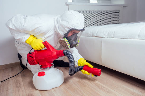 Best Cockroach Control Services  in Opelousas, LA