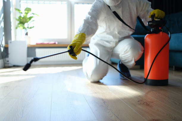 Insect Control in Opelousas, LA